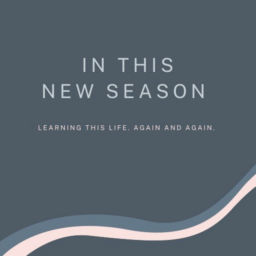 Podcast thumbnail for In This New Season