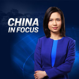 Podcast thumbnail for China In Focus
