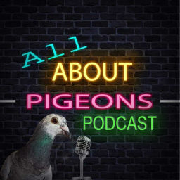 Podcast thumbnail for All About Pigeons