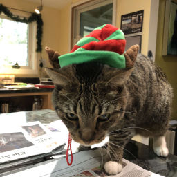 Podcast thumbnail for Hollysnark (with a side of Bauble)