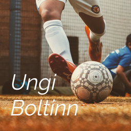 Podcast thumbnail for Ungi Boltinn