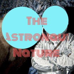 Podcast thumbnail for The Astronaut Nature