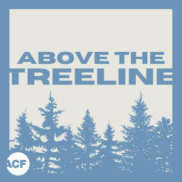 Podcast thumbnail for Above The Treeline