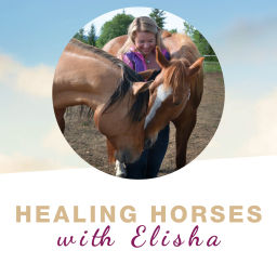 Podcast thumbnail for Healing Horses with Elisha