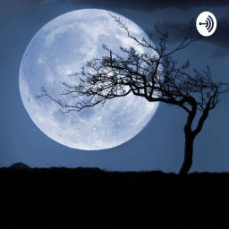 Podcast thumbnail for Into the Dark an OGS Podcast
