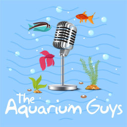 Podcast thumbnail for The Aquarium Guys