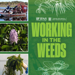 Podcast thumbnail for Working In The Weeds