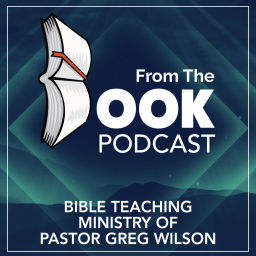 Podcast thumbnail for From the Book