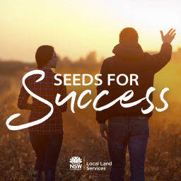 Podcast thumbnail for Seeds for Success