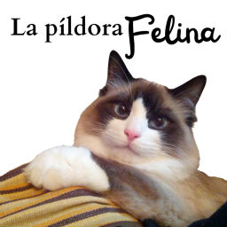 Podcast thumbnail for La Píldora Felina