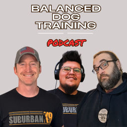 Podcast thumbnail for Balanced Dog Training With Suburban K9