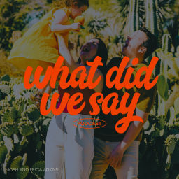 Podcast thumbnail for What Did We Say?
