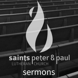 Podcast thumbnail for Saints Peter and Paul Sermons