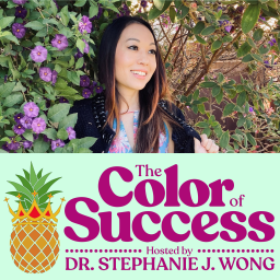 Podcast thumbnail for Color of Success