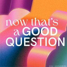Podcast thumbnail for Now That's a Good Question