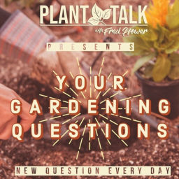 Podcast thumbnail for Your Gardening Questions