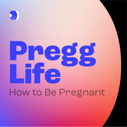 Podcast thumbnail for Pregg life: how to be pregnant