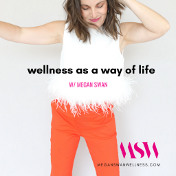 Podcast thumbnail for Wellness As A Way of Life