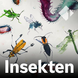 Podcast thumbnail for Insekten