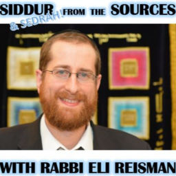 Podcast thumbnail for Siddur & Sedrah From The Sources With Rabbi Eli Reisman