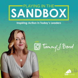 Podcast thumbnail for Playing In The Sandbox