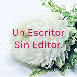 Podcast thumbnail for Un Escritor Sin Editor.