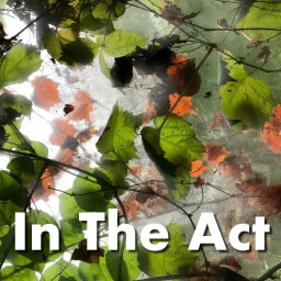 Podcast thumbnail for In The Act