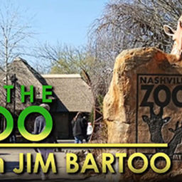 Podcast thumbnail for At the Zoo