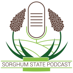 Podcast thumbnail for Sorghum State Podcast