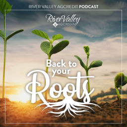 Podcast thumbnail for Back to Your Roots