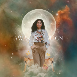 Podcast thumbnail for Awaken and Align