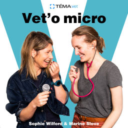 Podcast thumbnail for Vet'o micro