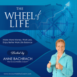 Podcast thumbnail for Wheel of Life Podcast: Business|Productivity|Accountability