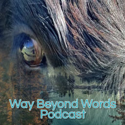 Podcast thumbnail for Way Beyond Words Podcast