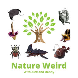 Podcast thumbnail for Nature Weird w/ Alex And Danny