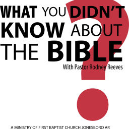 Podcast thumbnail for What You Didn't Know About The Bible