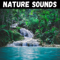 Podcast thumbnail for Nature Sounds for Sleep, Meditation, & Relaxation