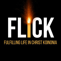 Podcast thumbnail for FLICK THE MOVEMENT