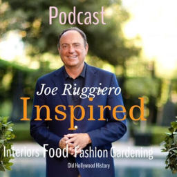 Podcast thumbnail for Joe Ruggiero Inspired