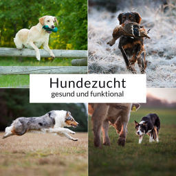 Podcast thumbnail for Hundezucht - gesund und funktional!