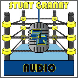 Podcast thumbnail for Audio Updates Archives - Stunt Granny