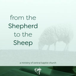 Podcast thumbnail for From the Shepherd to the Sheep