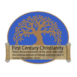 Podcast thumbnail for First Century Christianity