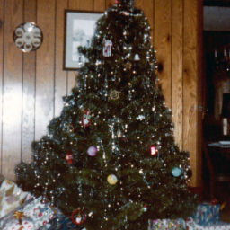 Podcast thumbnail for Everyday is a Holiday