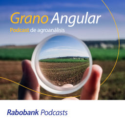 Podcast thumbnail for Grano Angular: Podcast de agroanálisis