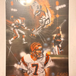 Podcast thumbnail for Rule the Jungle podcast: A Cincinnati Bengals Podcast