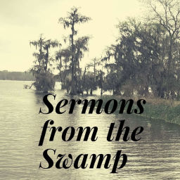 Podcast thumbnail for Sermons from the Swamp
