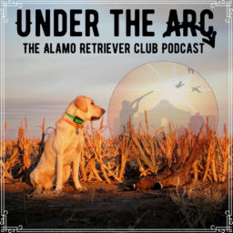 Podcast thumbnail for Under the ARC Podcast