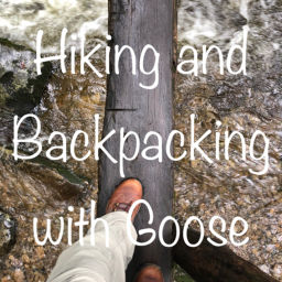 Podcast thumbnail for Hiking and Backpacking with Goose