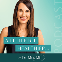 Podcast thumbnail for A Little Bit Healthier | Exhaustion, IBS, Brain Fog, Hormone Balance, Inflammation, Detox, Histamine Intolerance, Functional Medicine